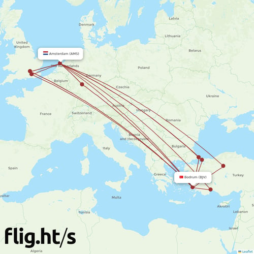 BJV-AMS