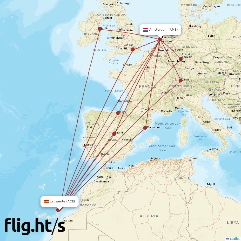ACE-AMS