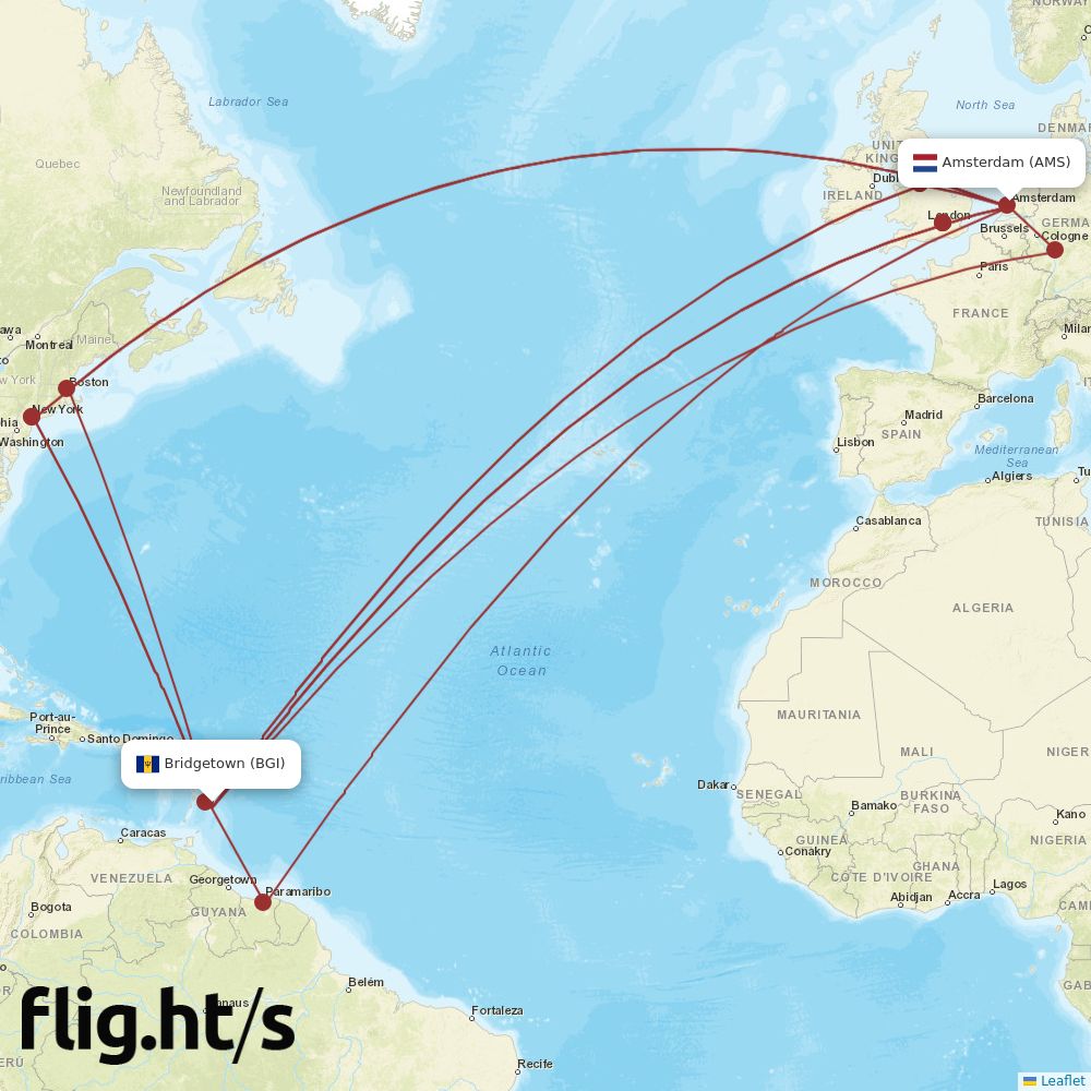 BGI-AMS