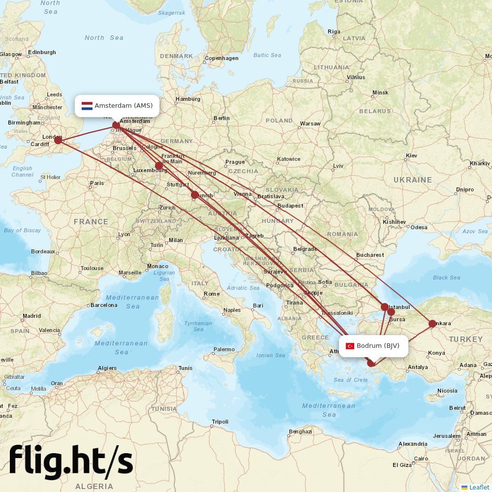 BJV-AMS