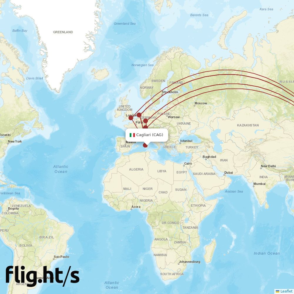 CAG-ICN