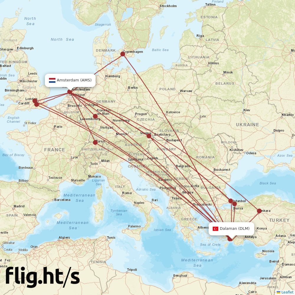 DLM-AMS