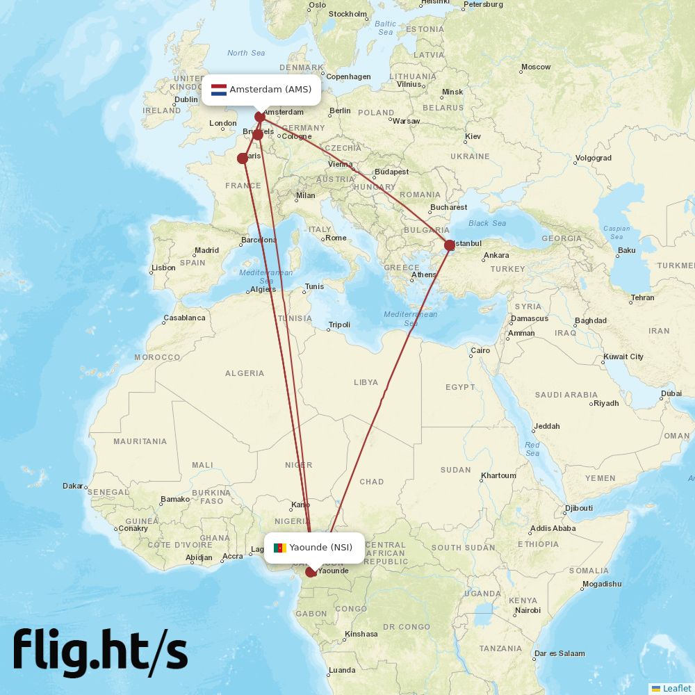 NSI-AMS