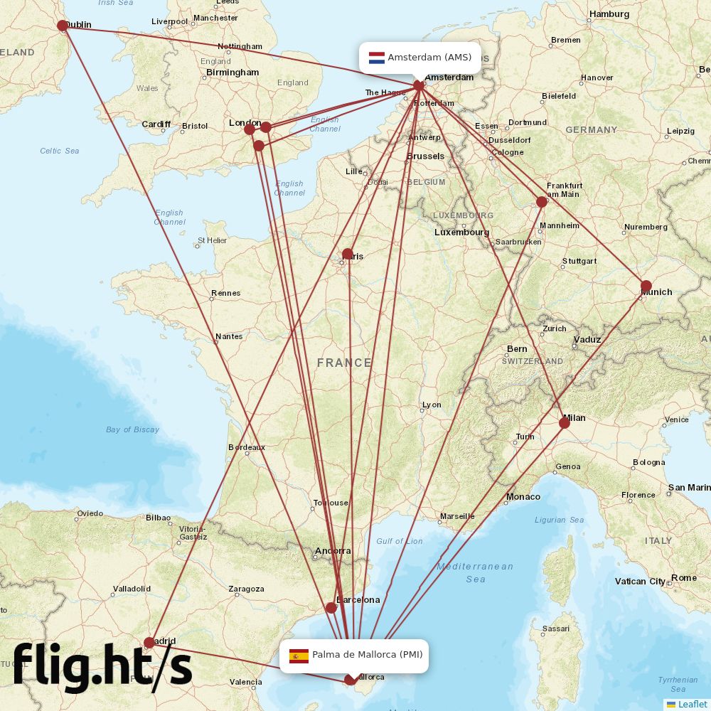 PMI-AMS