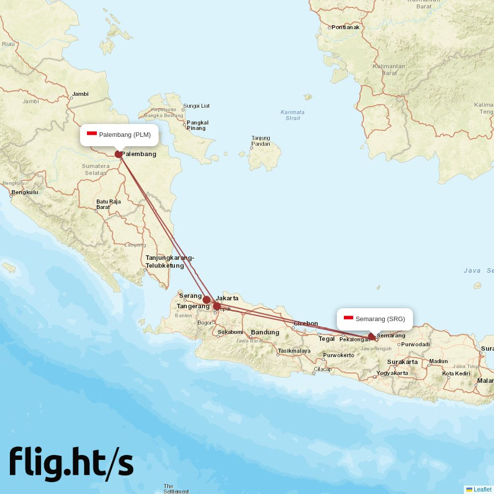 SRG-PLM