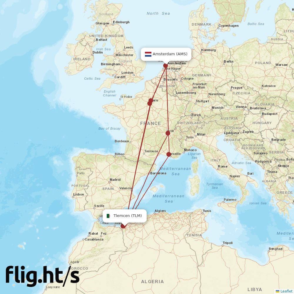 TLM-AMS